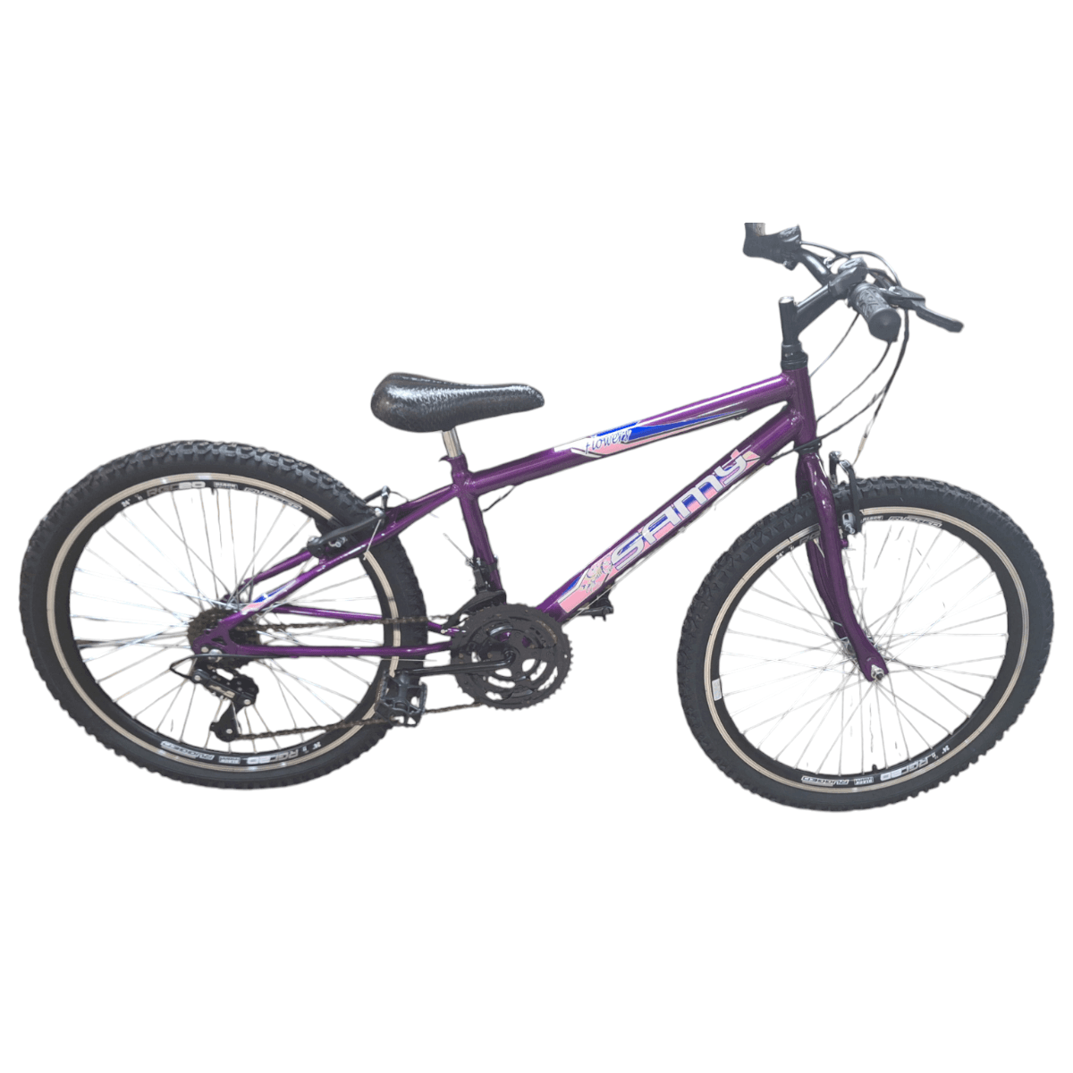 BICICLETA ARO 24 REBAIXADA VIOLETA WB ARO AERO CUBO AÇO RAIO GROSSO C/ 18 MARCHAS